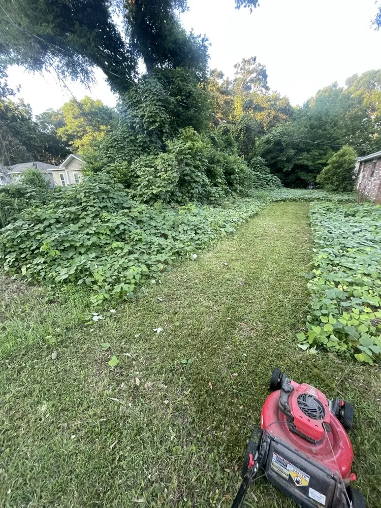 Professional landscaping services experts serving Pensacola, FL - Pnl lawn care