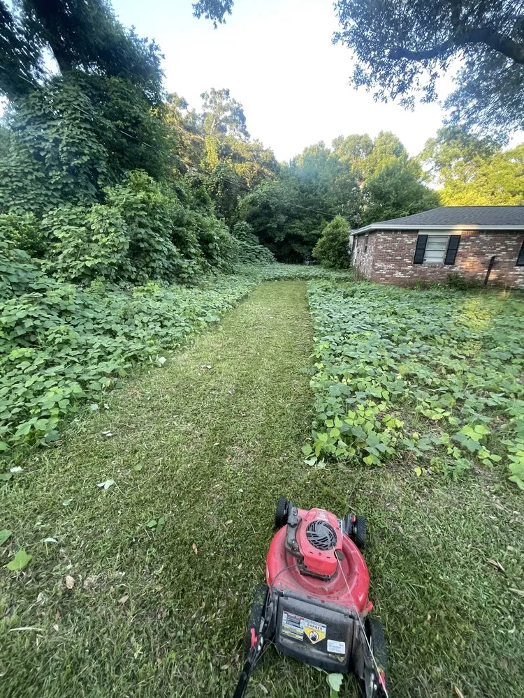 Trusted yard maintenance in Pensacola, FL by Pnl lawn care