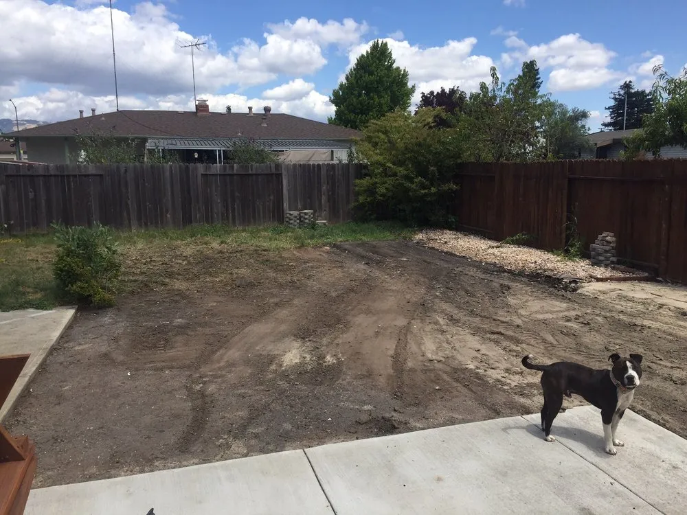 Professional yard maintenance for year-round maintenance across Sebastopol, CA - PNM Company