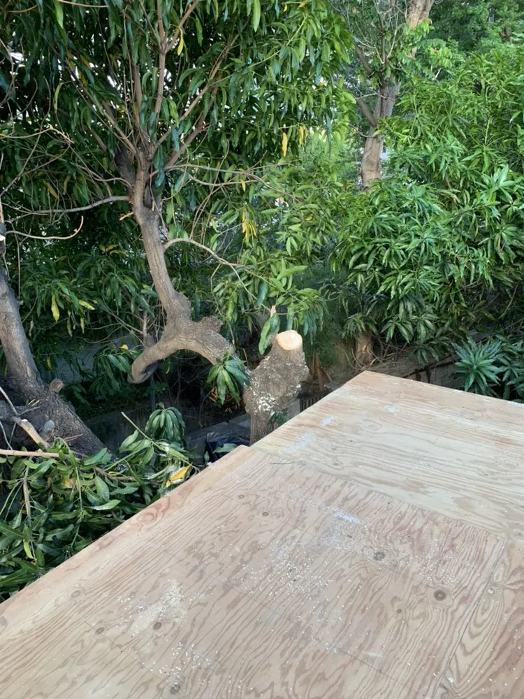 Reliable outdoor landscaping in Waipahu, HI by PNN Landscaping Service