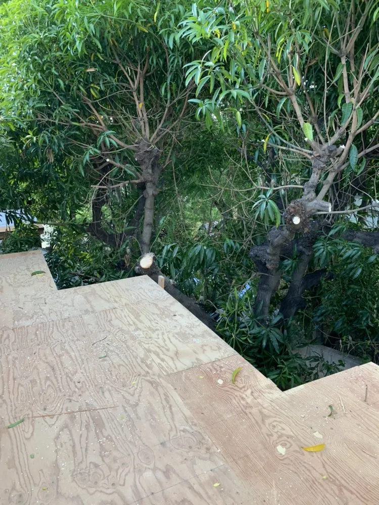 Trusted garden landscaping in Waipahu, HI by PNN Landscaping Service