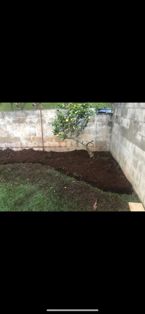 Professional landscaping services in Waipahu, HI by PNN Landscaping Service