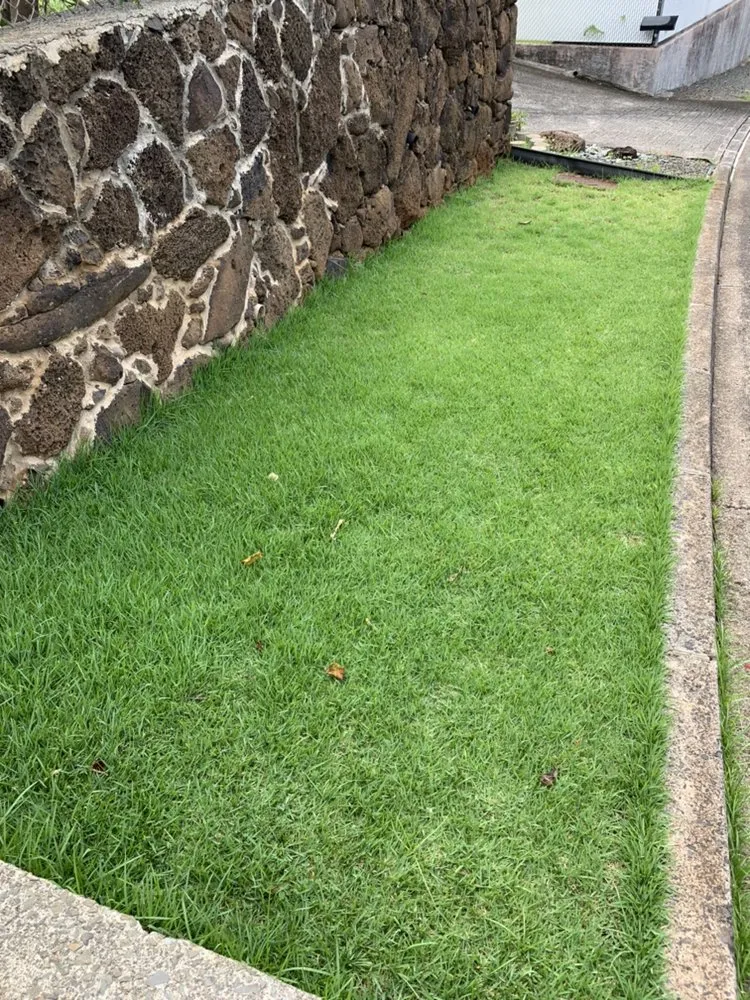 Trusted yard cleanup service in Waipahu, HI by PNN Landscaping Service