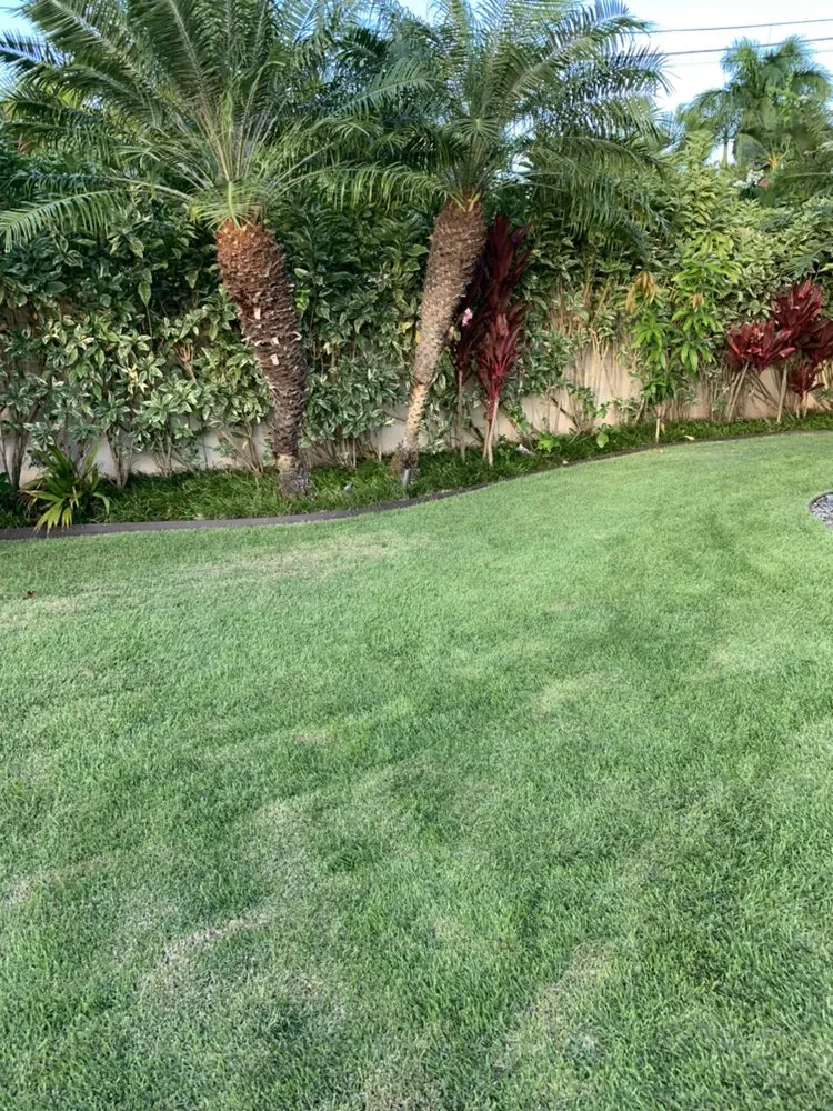 Affordable lawn care service in Waipahu, HI by PNN Landscaping Service