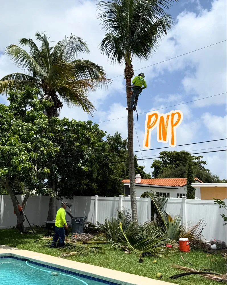 Top-rated landscape design for outdoor upgrades across Davie, FL - PNP Property Solutions