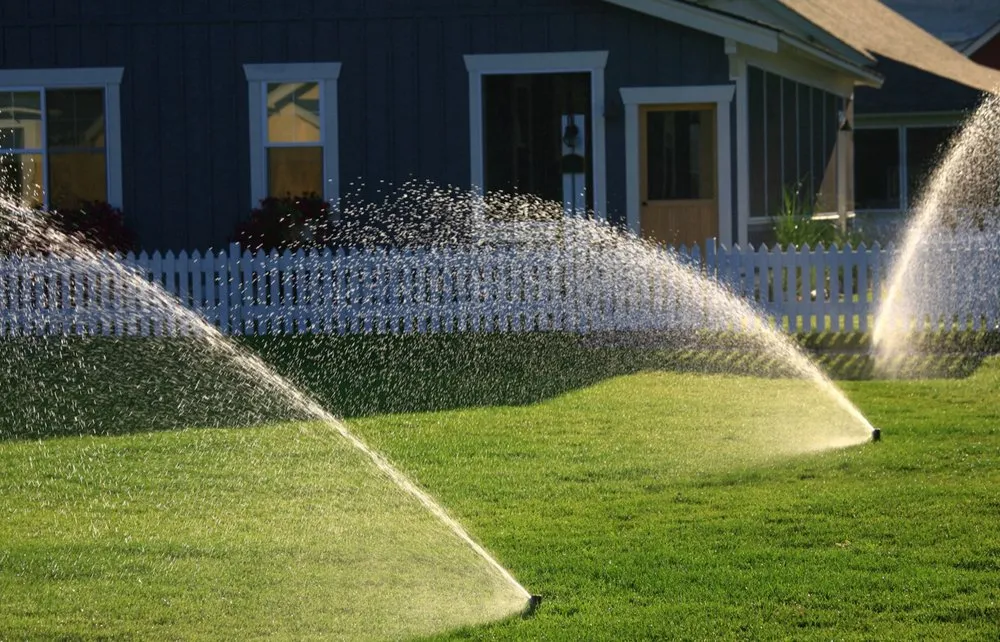 Custom residential landscaping experts serving Davie, FL - PNP Property Solutions