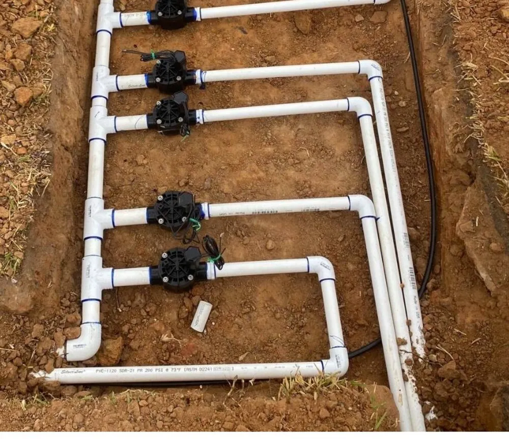 Professional yard cleanup service for beautiful yards in Davie, FL by PNP Property Solutions