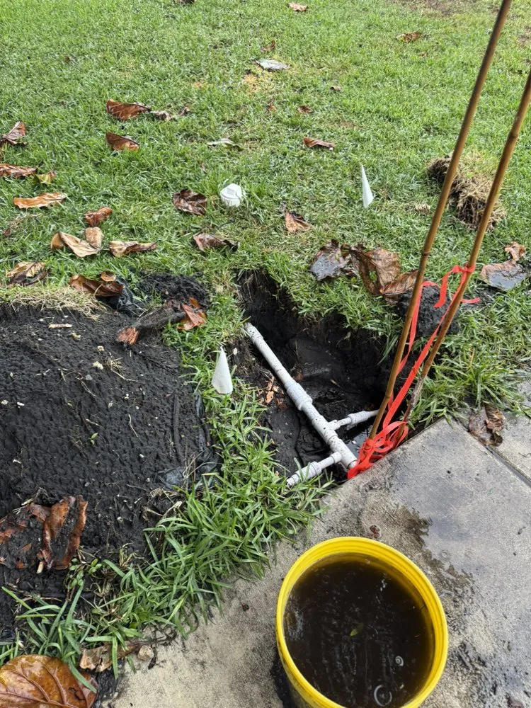 Reliable landscaping services experts serving Davie, FL - PNP Property Solutions