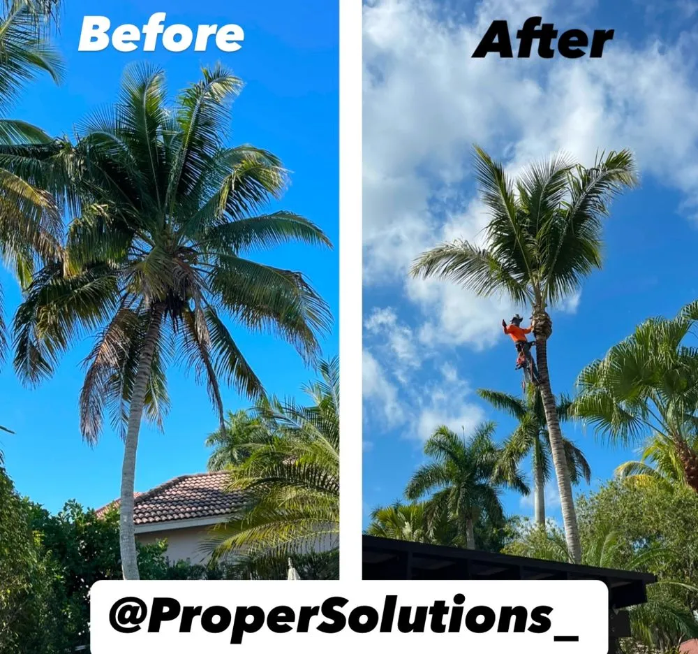 Expert garden landscaping experts serving Davie, FL - PNP Property Solutions