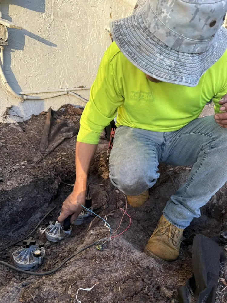 Affordable landscaping services for outdoor upgrades in Davie, FL by PNP Property Solutions