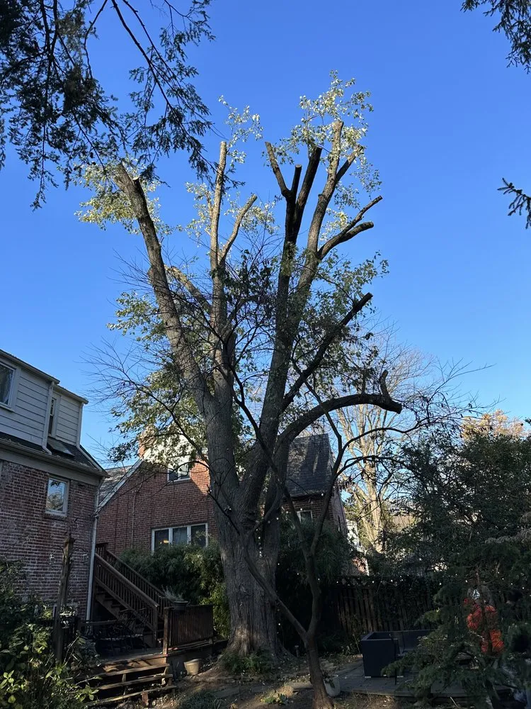 Affordable garden landscaping in Gaithersburg, MD - PNS Landscaping