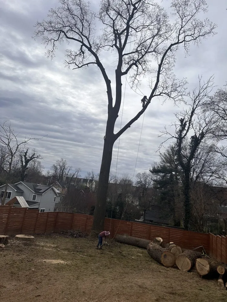 Custom landscaping services experts serving Gaithersburg, MD - PNS Landscaping