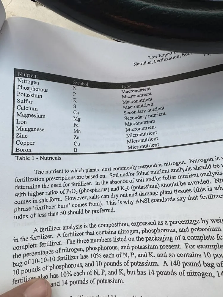 Expert landscaping services experts serving Gaithersburg, MD - PNS Landscaping