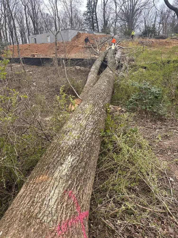 Affordable lawn mowing service near you in Gaithersburg, MD by PNS Landscaping