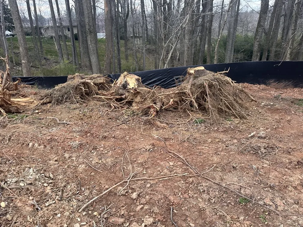 Trusted yard maintenance in Gaithersburg, MD by PNS Landscaping