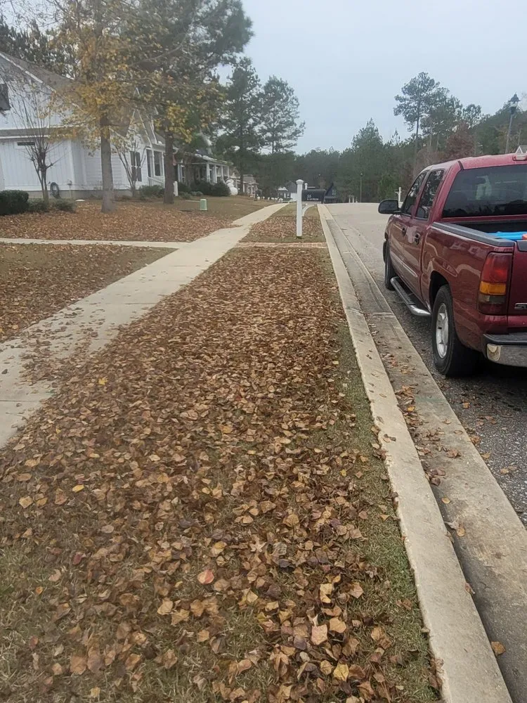 Professional outdoor landscaping experts serving Hattiesburg, MS - Pnuts Lawncare