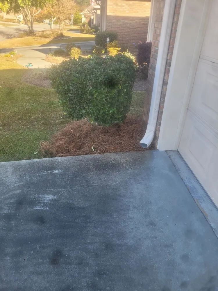 Professional landscape installation experts serving Hattiesburg, MS - Pnuts Lawncare