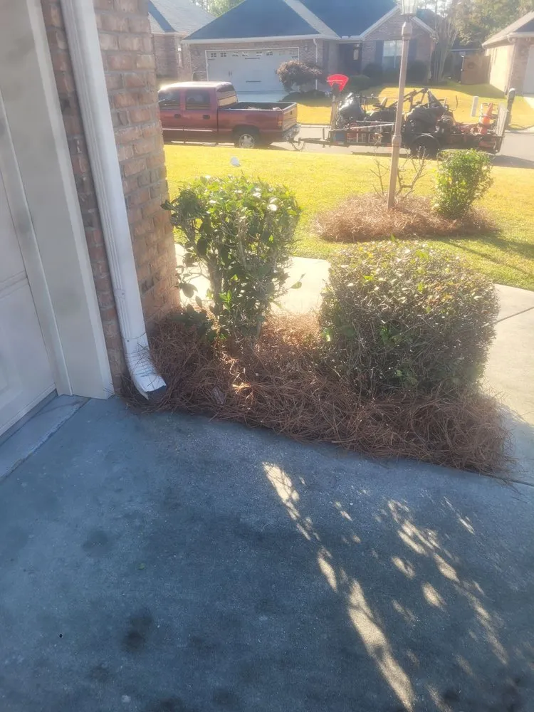 Top-rated lawn mowing service for residential properties across Hattiesburg, MS - Pnuts Lawncare