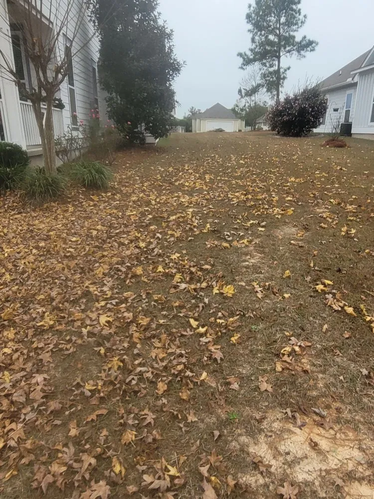 Custom yard maintenance experts serving Hattiesburg, MS - Pnuts Lawncare