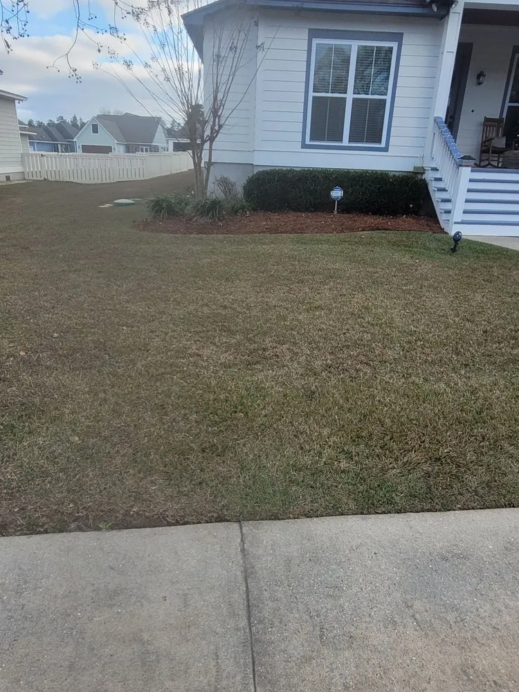Trusted outdoor landscaping in Hattiesburg, MS by Pnuts Lawncare