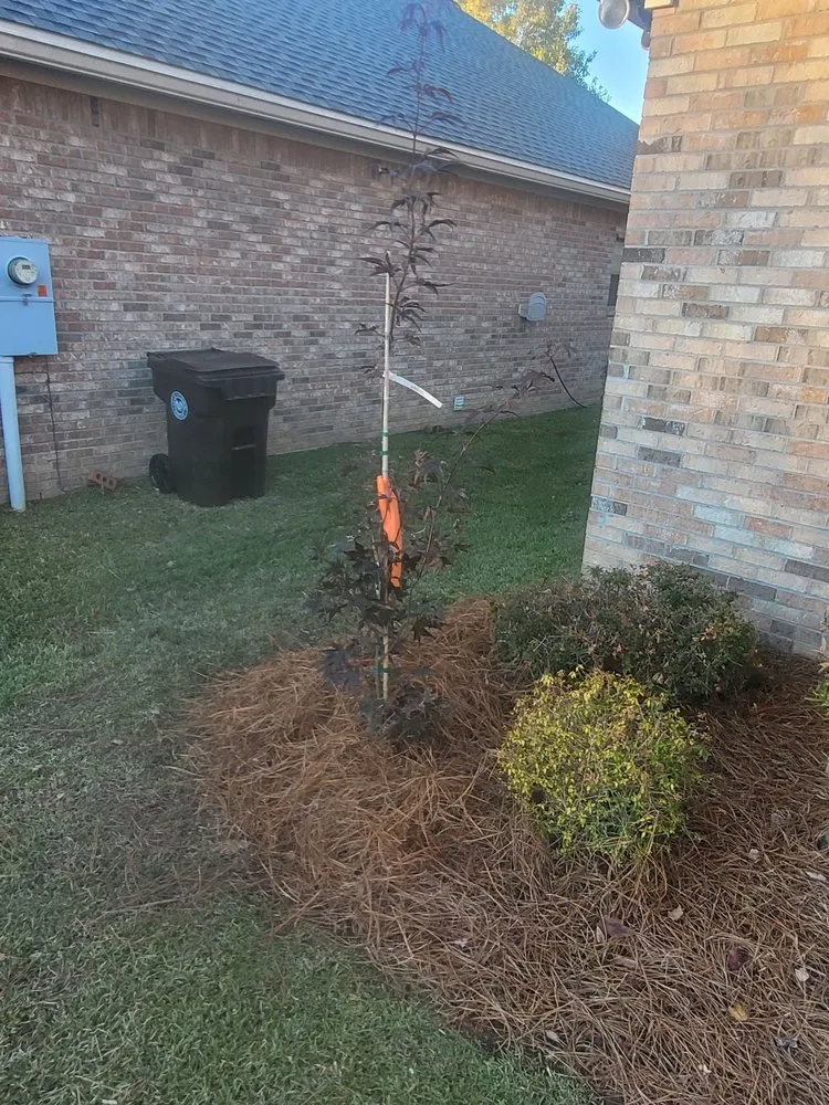 Local yard maintenance for year-round maintenance in Hattiesburg, MS by Pnuts Lawncare