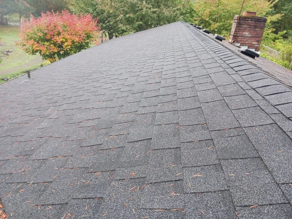 Trusted landscape installation experts serving Olympia, WA - Pnw Green Thumb