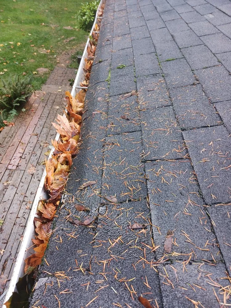 Professional garden landscaping in Olympia, WA - Pnw Green Thumb