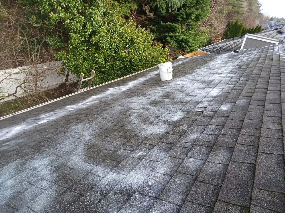 Trusted residential landscaping experts serving Olympia, WA - Pnw Green Thumb