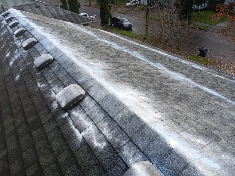 Local lawn care service for year-round maintenance across Olympia, WA - Pnw Green Thumb