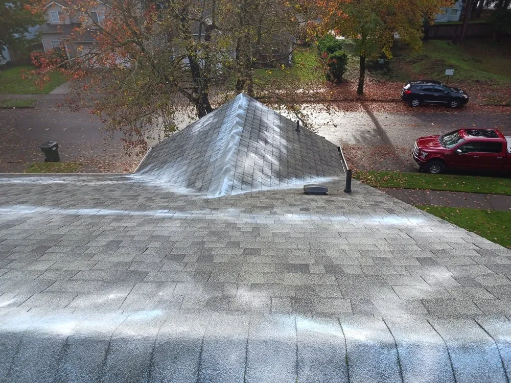 Custom yard maintenance experts serving Olympia, WA - Pnw Green Thumb