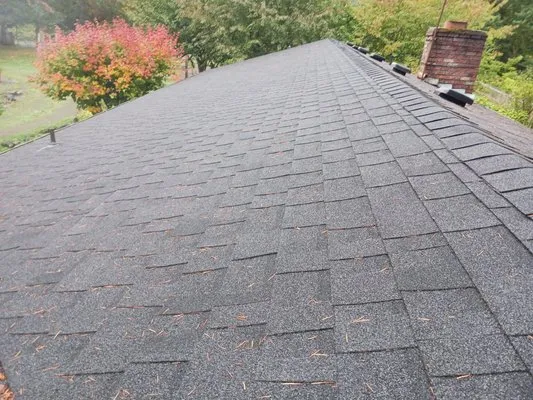 Pnw Green Thumb Logo