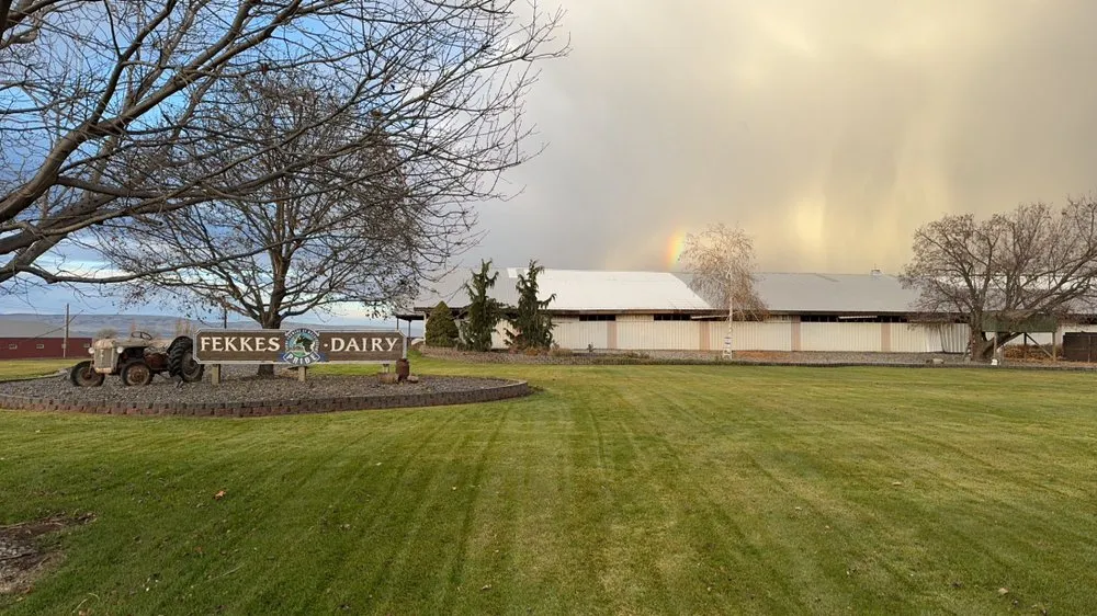 Expert yard cleanup service in Quincy, WA by Pnw Greenland Care