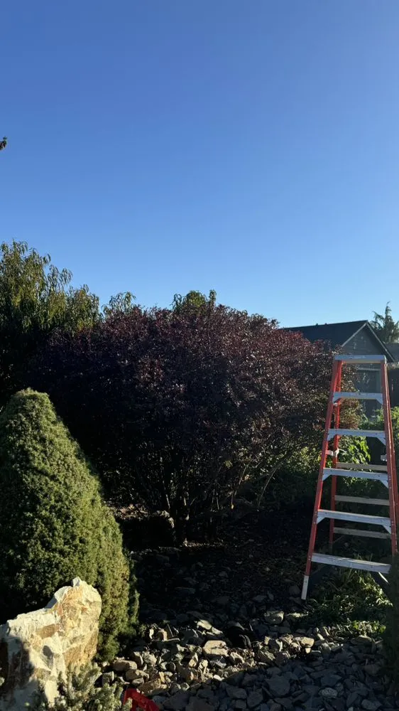 Trusted yard cleanup service in Quincy, WA - Pnw Greenland Care