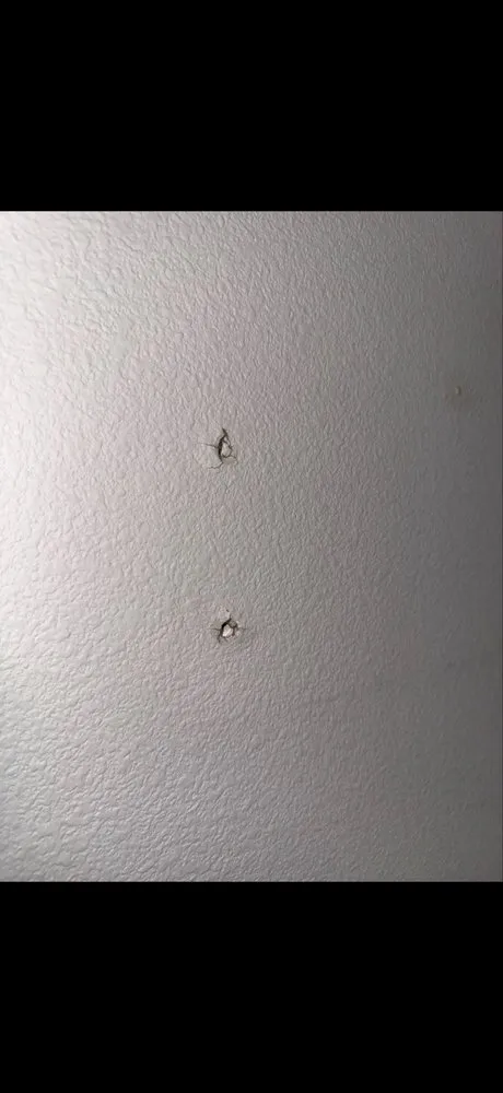 Trusted yard maintenance for homes across Beaverton, OR - PNW Home & Yard Care