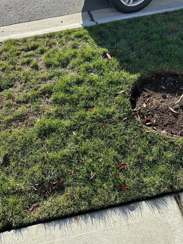 Local landscaping services in Puyallup, WA by PNW Home Services