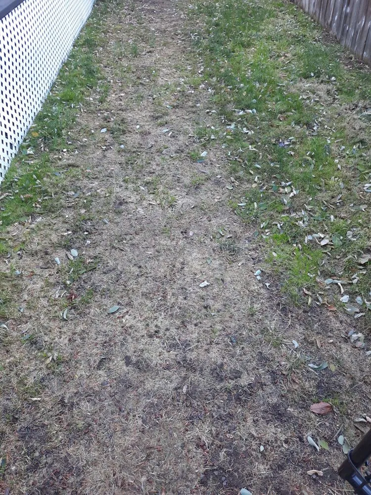 Expert landscape installation for homes across Puyallup, WA - PNW Home Services