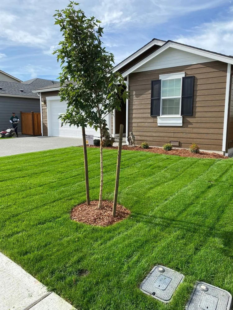 Trusted garden landscaping for homes across Puyallup, WA - PNW Home Services