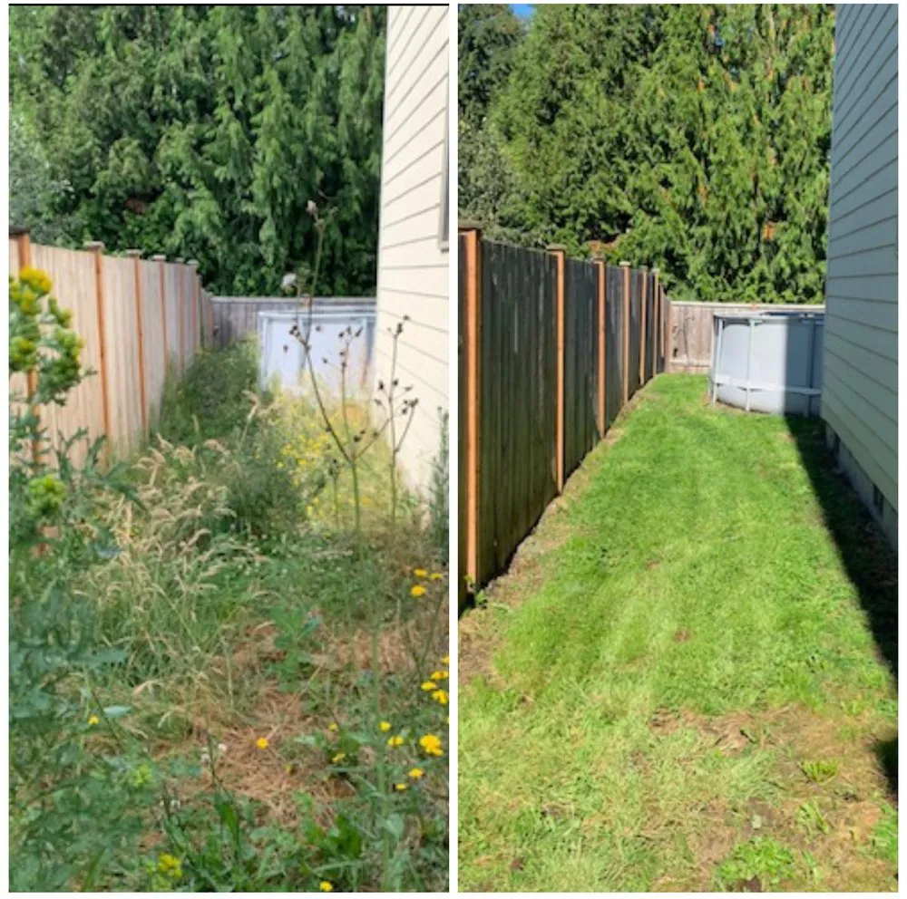 Professional yard maintenance experts serving Puyallup, WA - PNW Home Services