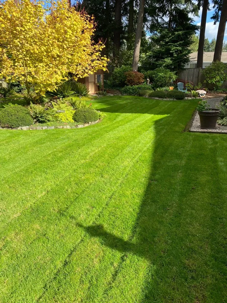 Trusted landscape installation with custom design across Puyallup, WA - PNW Home Services