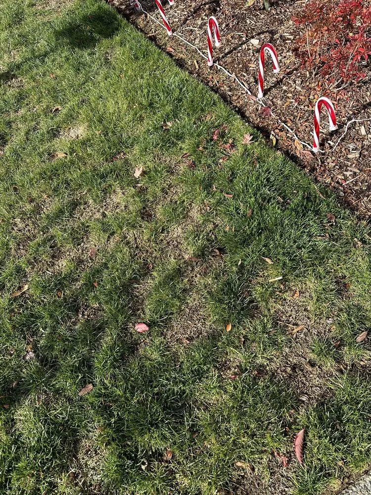 Expert landscape installation for outdoor upgrades in Puyallup, WA by PNW Home Services