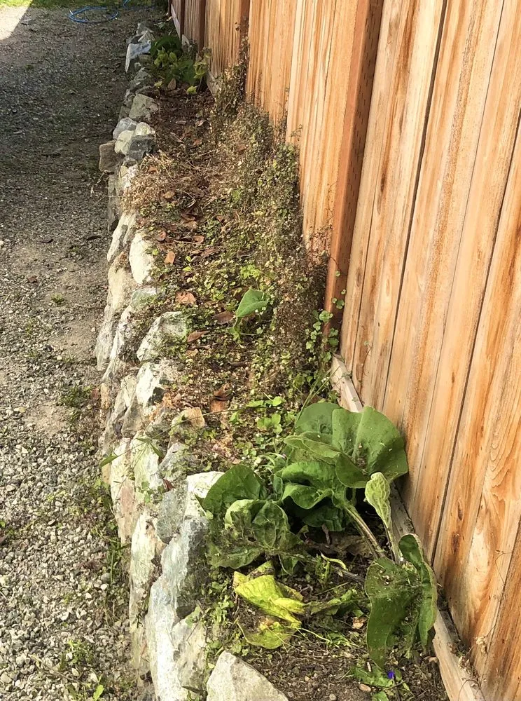 Professional residential landscaping experts serving Puyallup, WA - PNW Home Services