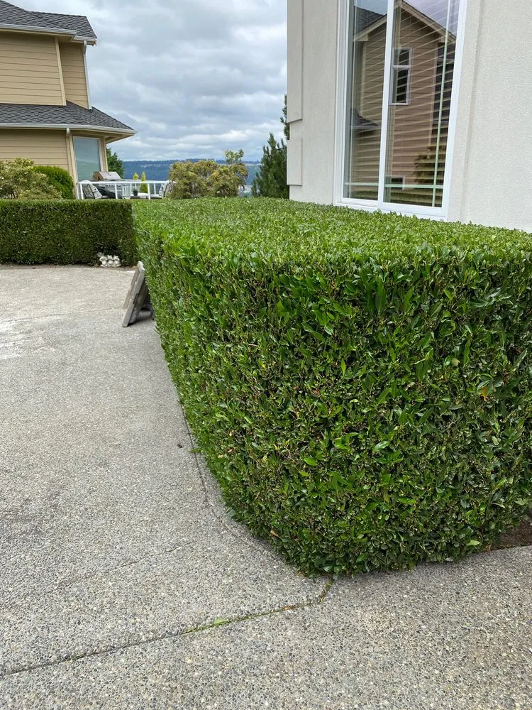 Reliable residential landscaping for year-round maintenance across Puyallup, WA - PNW Home Services
