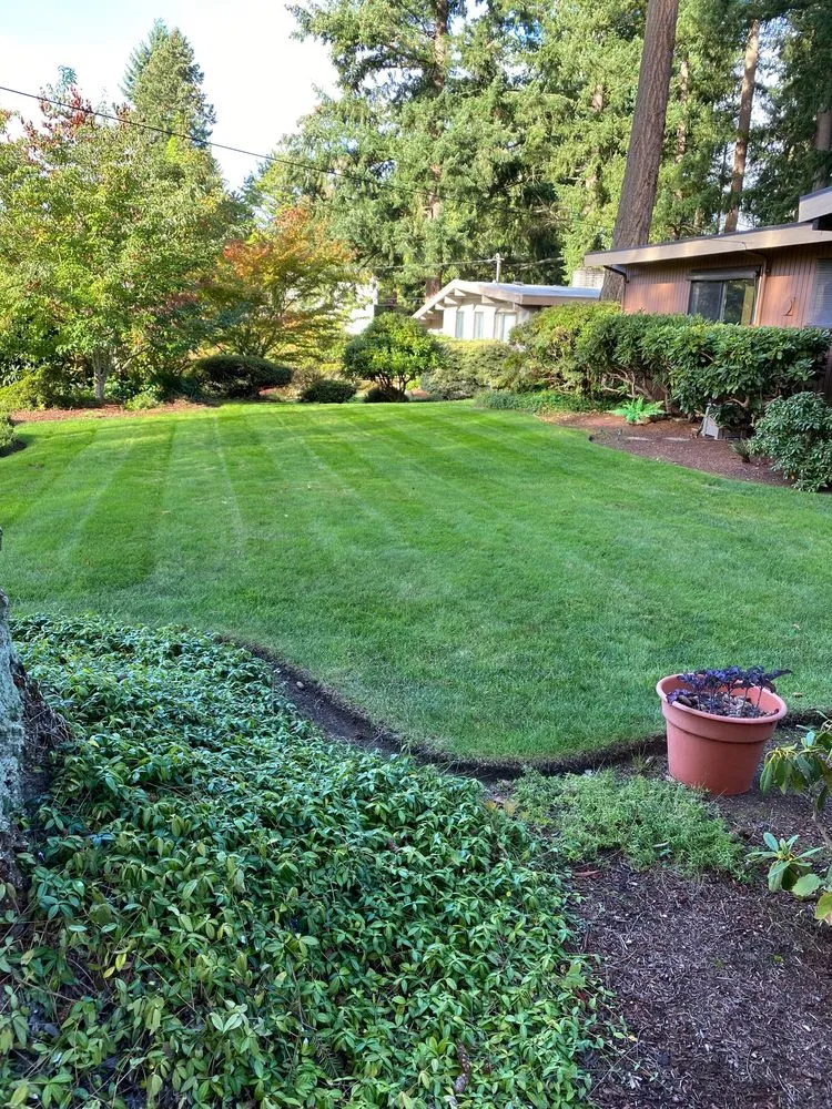 Local yard cleanup service experts serving Puyallup, WA - PNW Home Services