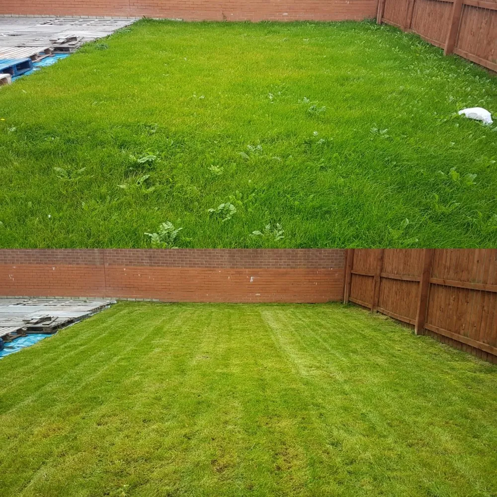 Top-rated lawn care service for outdoor upgrades in Puyallup, WA by PNW Home Services