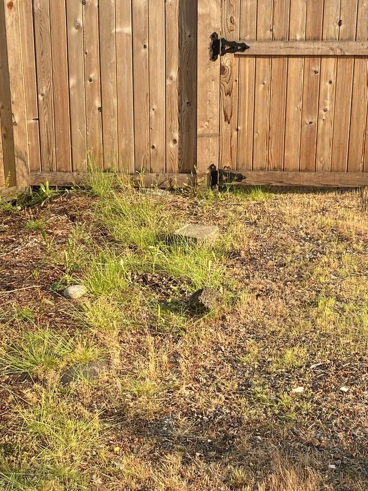 Affordable lawn care service for beautiful yards across Puyallup, WA - PNW Home Services