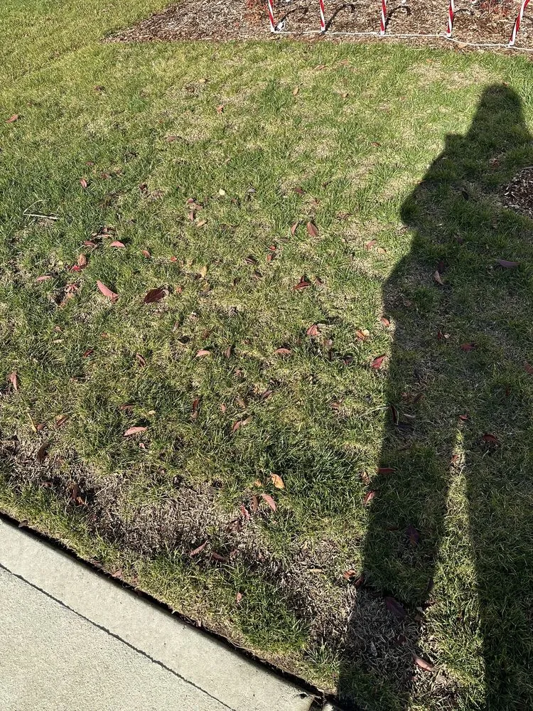 Expert landscape design for outdoor upgrades across Puyallup, WA - PNW Home Services