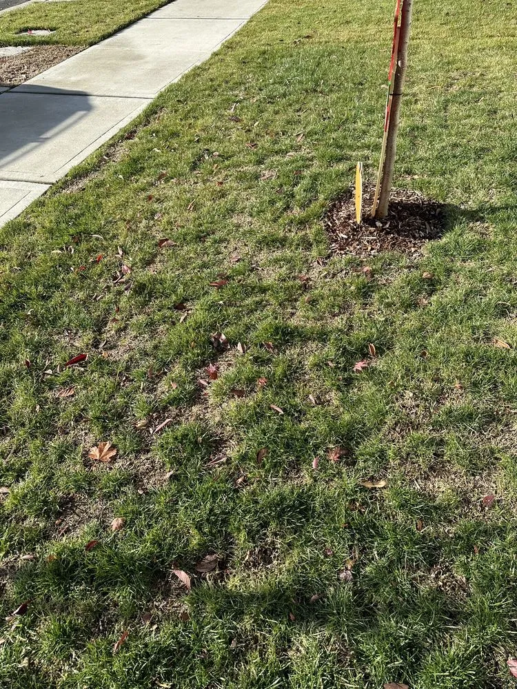 Local outdoor landscaping for outdoor upgrades across Puyallup, WA - PNW Home Services