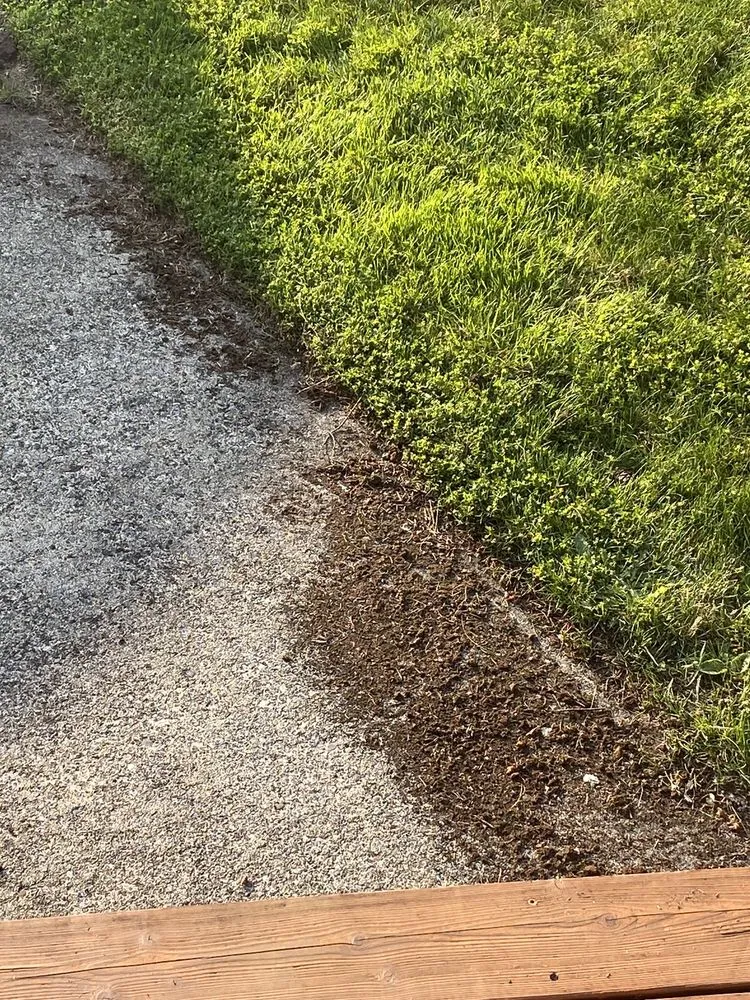 Custom lawn mowing service with custom design in Puyallup, WA by PNW Home Services