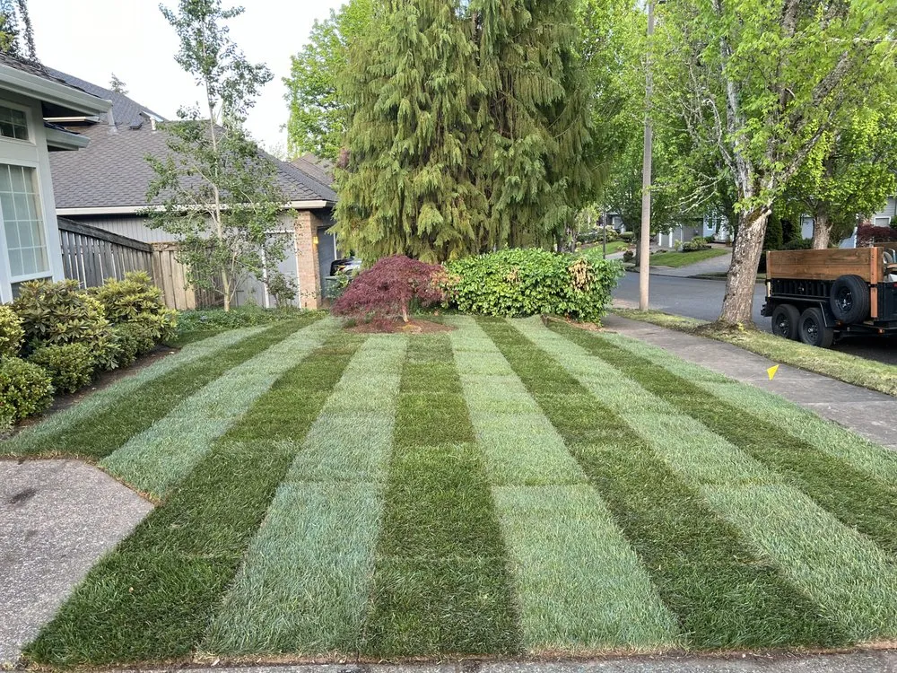 Affordable landscape design in Lafayette, OR by PNW Landscaping & Maintenance