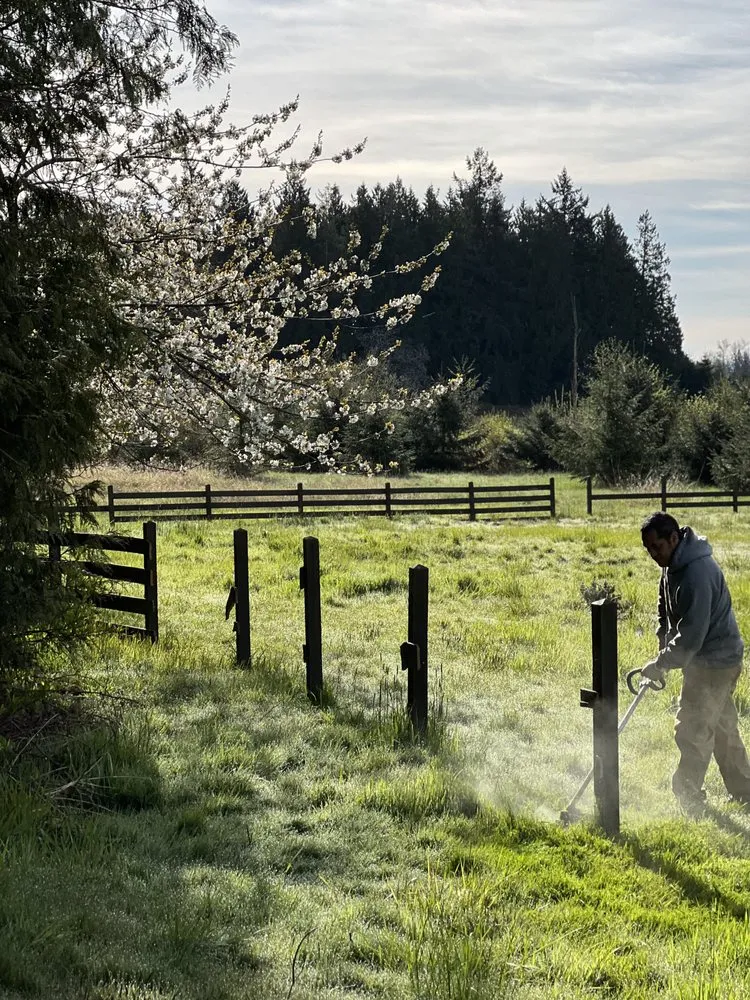 Expert yard maintenance near you in Everett, WA by PNW Landscaping & more